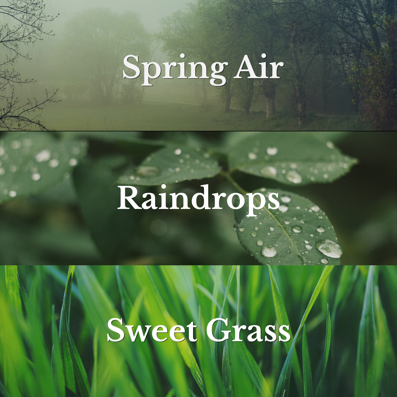 Dew Drops Room & Linen Spray