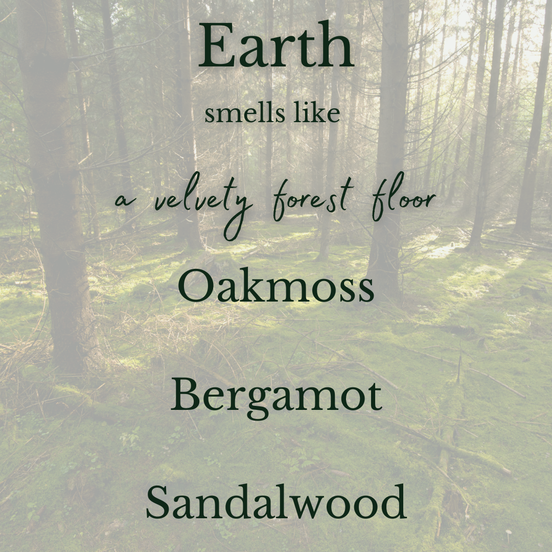 Earth Room & Linen Spray