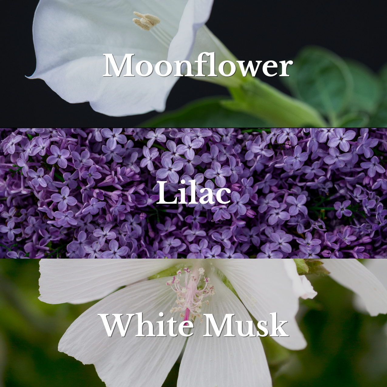First Bloom Room & Linen Spray