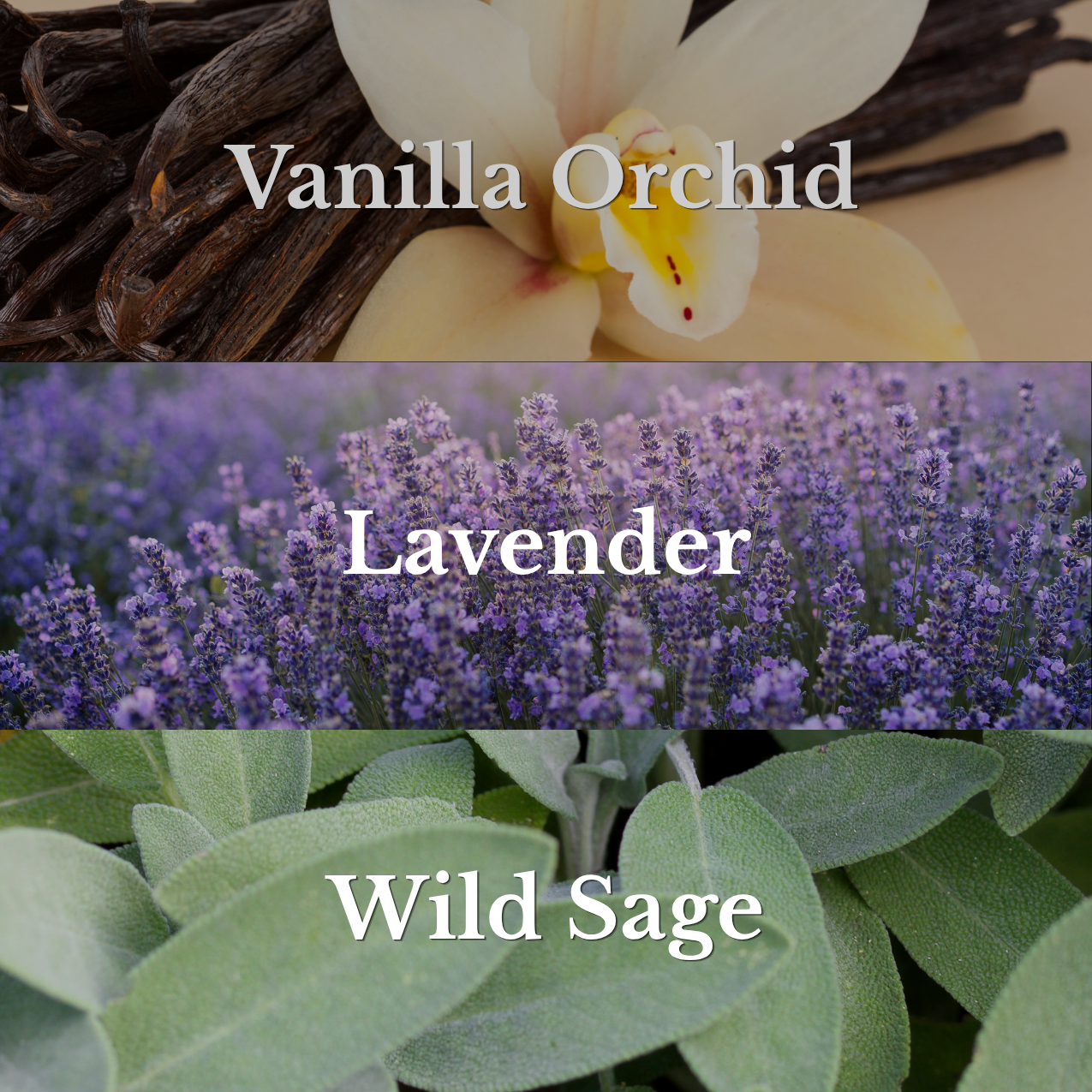 Mountain Lavender Room & Linen Spray